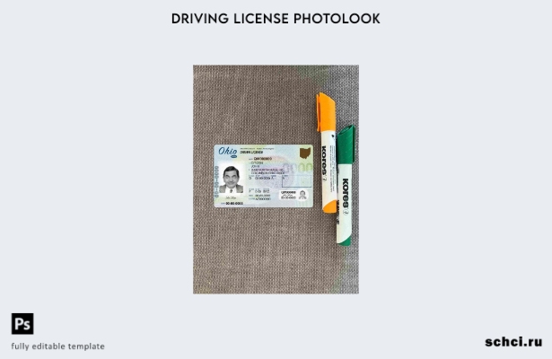 цифровая загрузка шаблона FRONT для США, Огайо DL Photolook